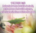 /album/fotogaleria/img-7851-jpg/