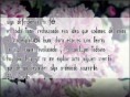 /album/fotogaleria/img-7961-jpg/