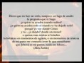 /album/fotogaleria/img-7981-jpg/